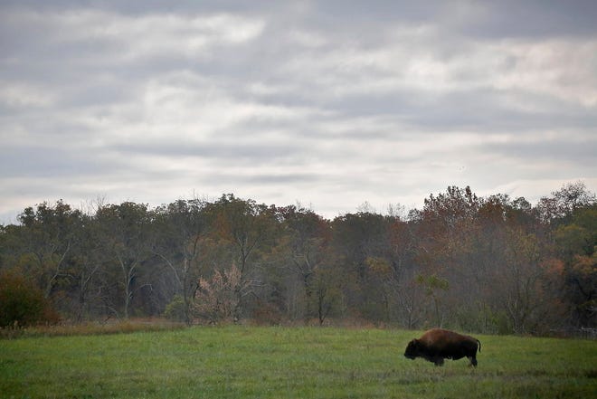 Greater Columbus spring break staycation ideas: Parks, zoo and more
