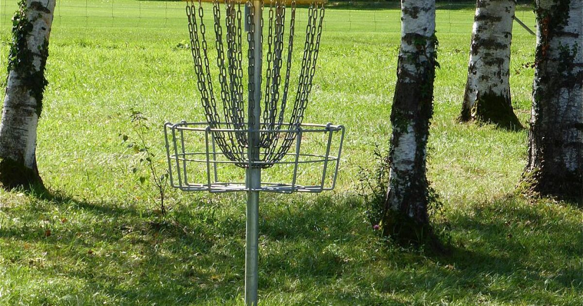 FAQ City: Why Is Disc Golf So Popular In Charlotte? | WFAE 90.7