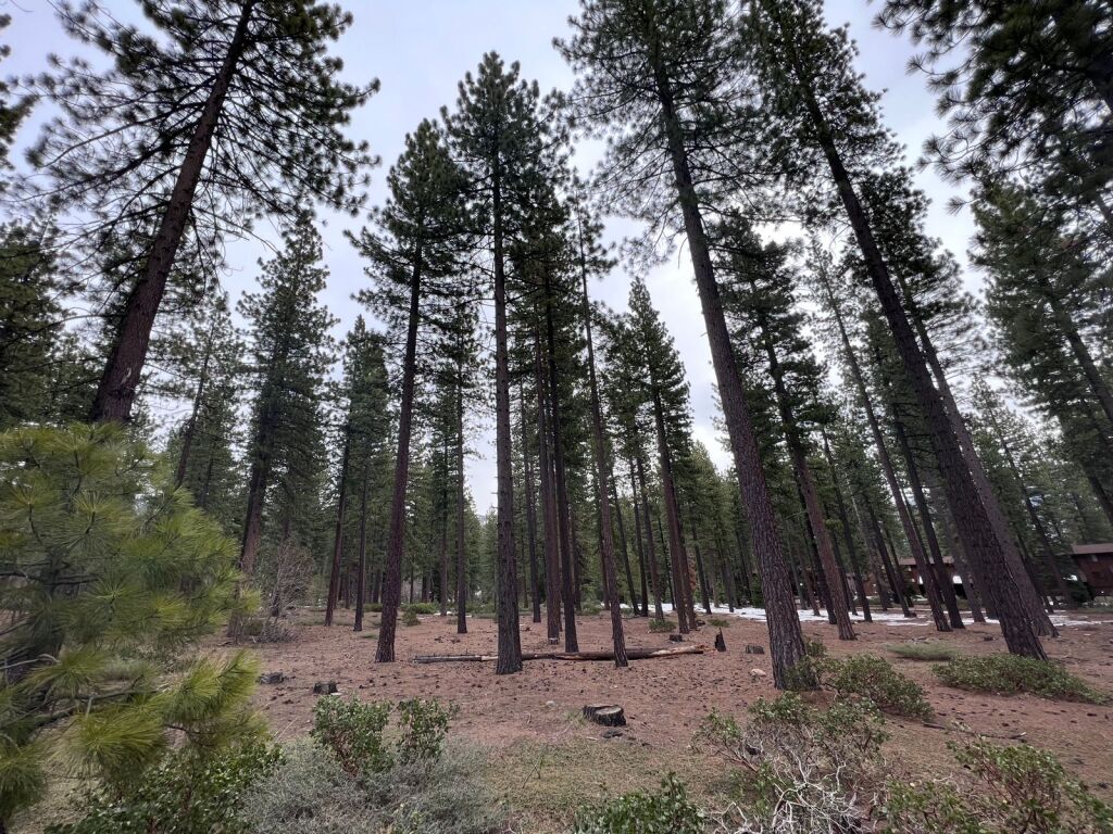 IVGID awaits special permit decision for dog park