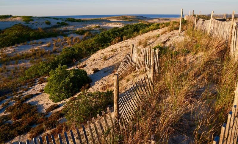 It doesn’t get any better than Cape Henlopen State Park