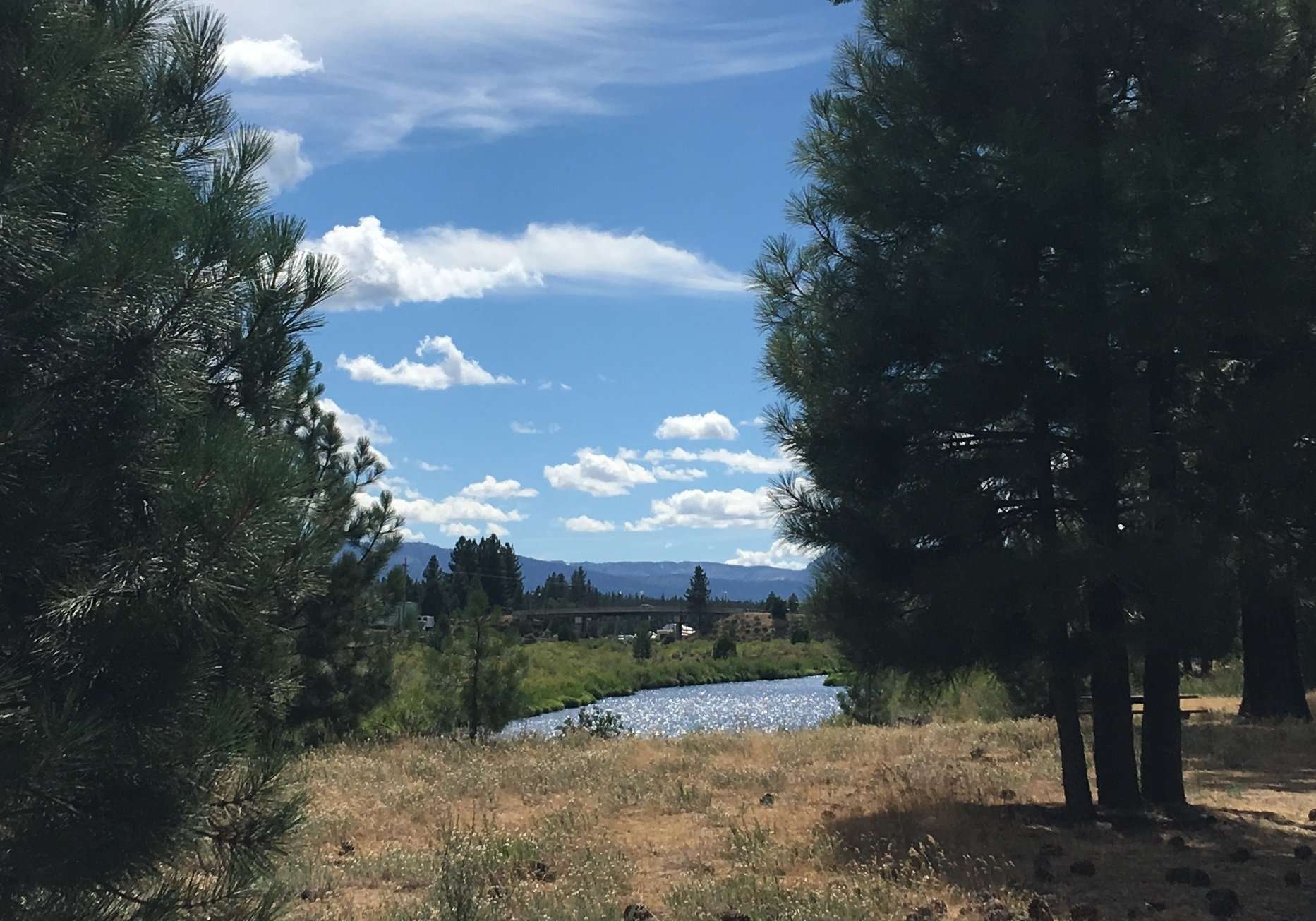 Houck disc golf course to spin into Portola this year