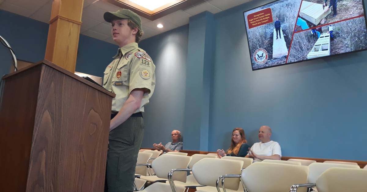 Peru Scout builds bridges for La Salle Rotary Park disc golf course – Shaw Local