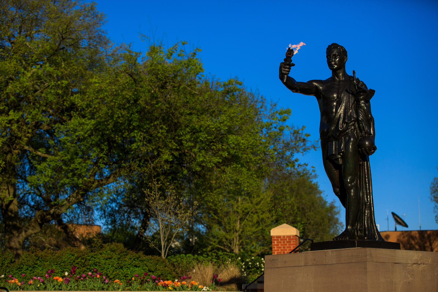 Meet the New Class of Haslam Scholars