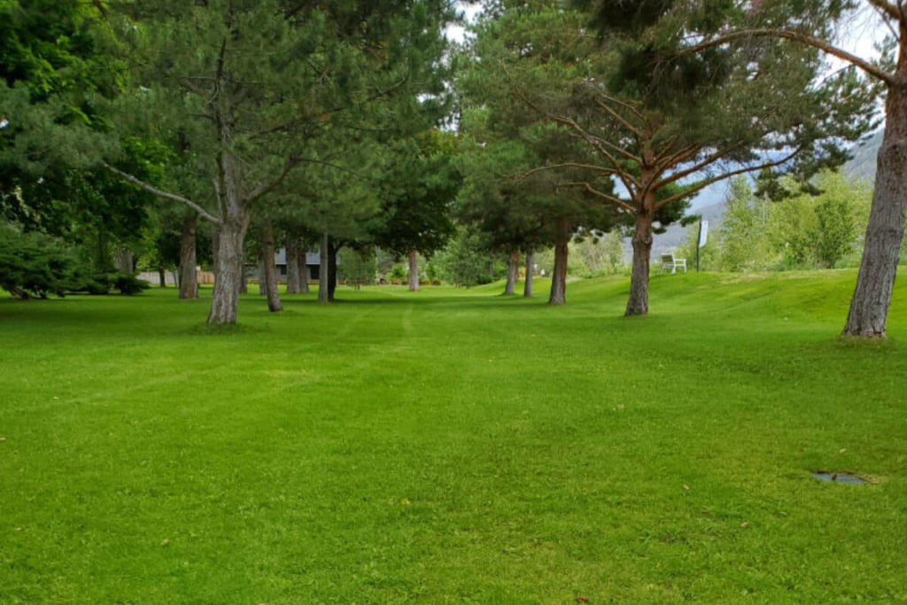 Keremeos all-accessible disc golf course opens this weekend – Keremeos Review