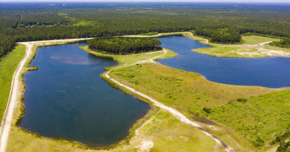 Awendaw sues Elliott Summey over sand mine and park project | Uncovered