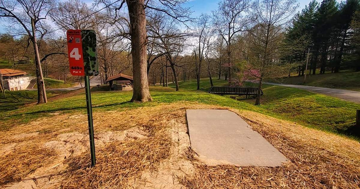 Disc golf league tees off in Chester