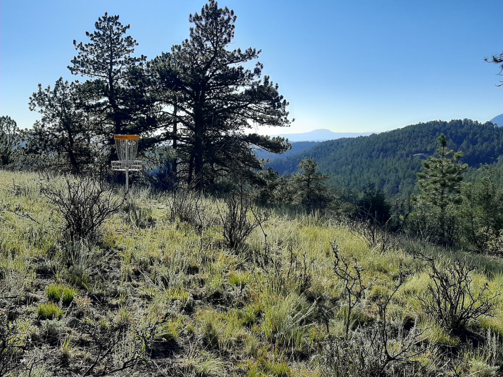 The Disc Golf Pro Tour Is Coming to Colorado for the First Time. Here’s How to Watch