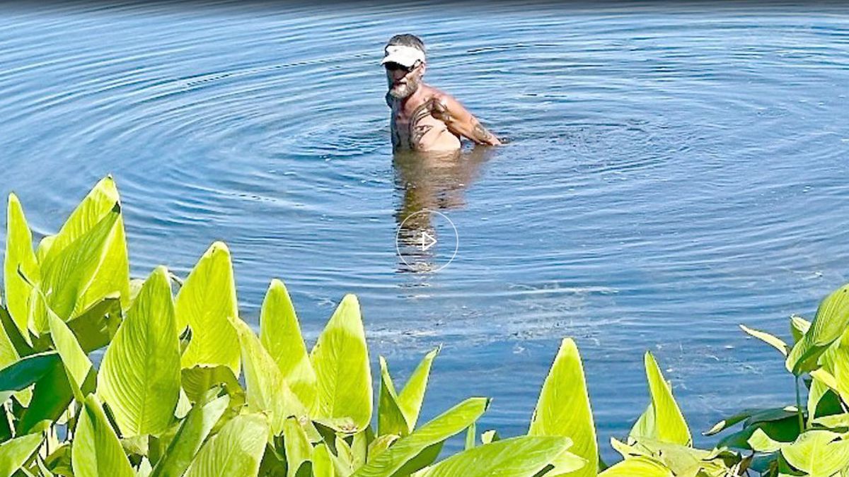 Largo man missing 3 limbs when found in gator-infested lake, police say