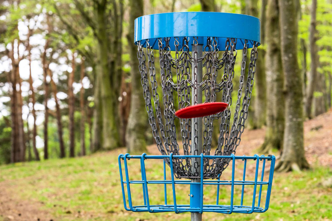 How to Play Disc Golf In Calgary