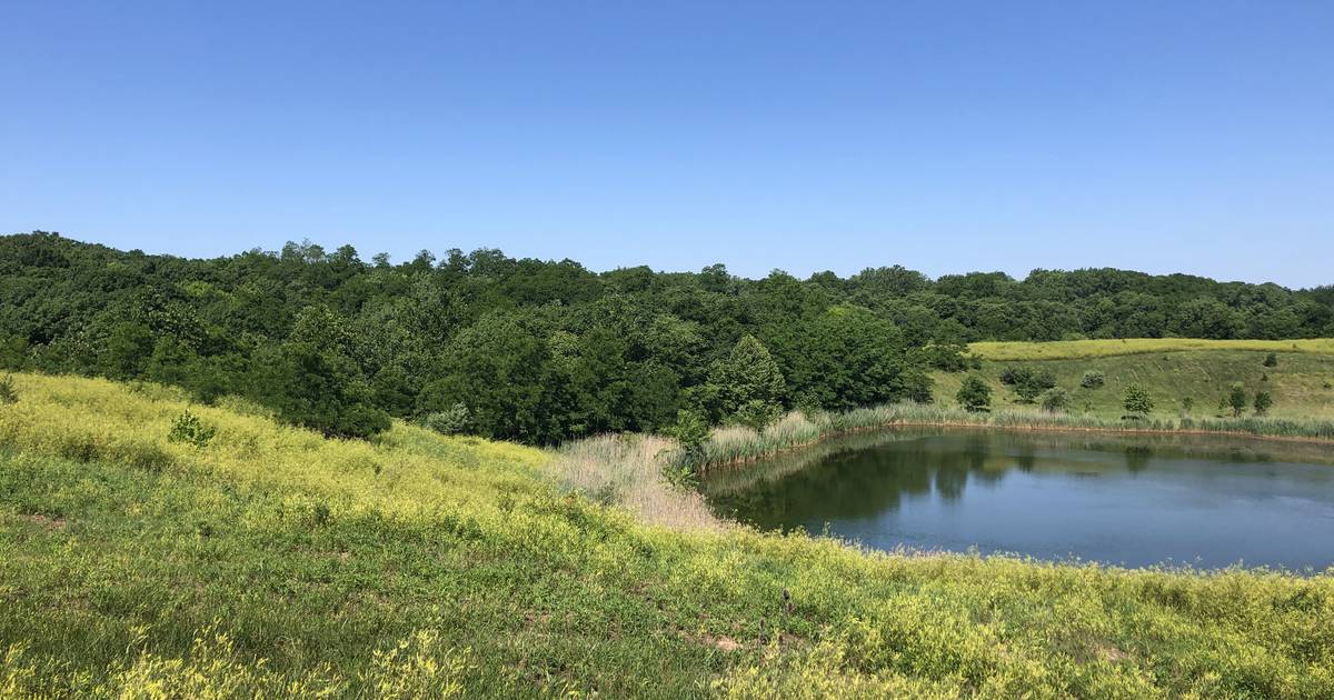 Rotary Park disc golf and fishing set to open in the fall – Shaw Local