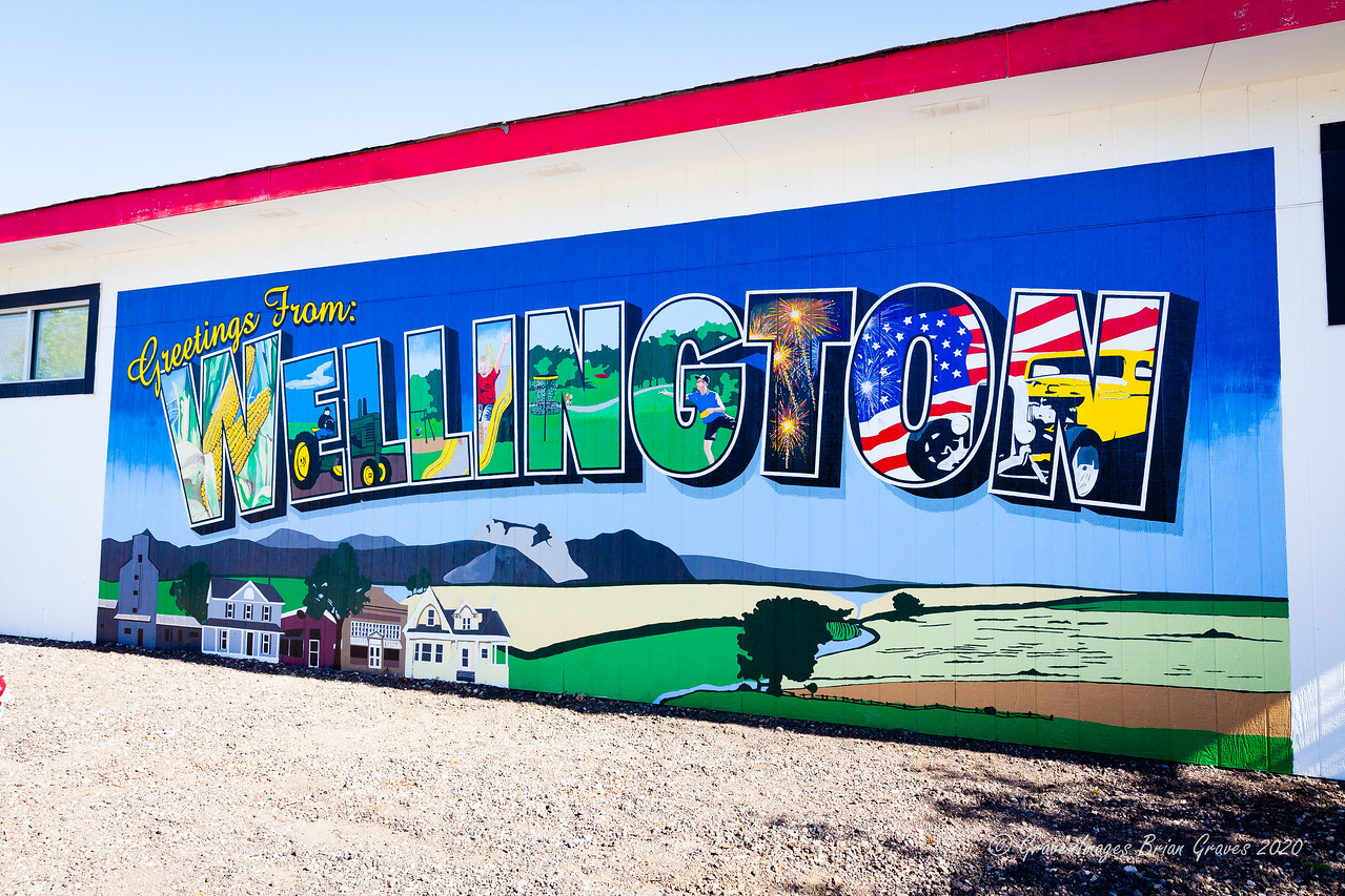 Happenings in Wellington in Upcoming Weeks – June/July 2022