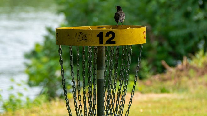 Volunteers hope to bring Eagle Ridge Disc Golf to Coshocton County