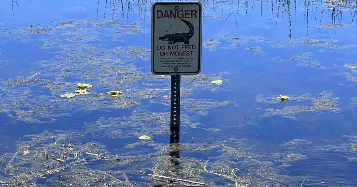 Florida man found dead in gator-filled lake while searching for Frisbees news
