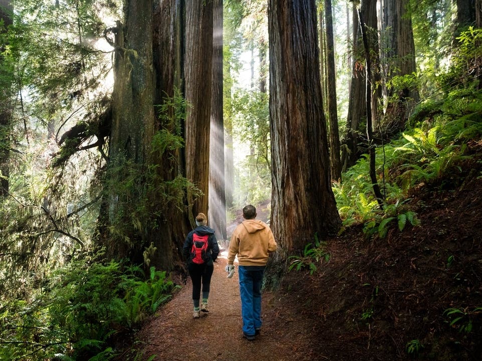 Father’s Day: 5 Things To Do In Minneapolis To Celebrate Dad