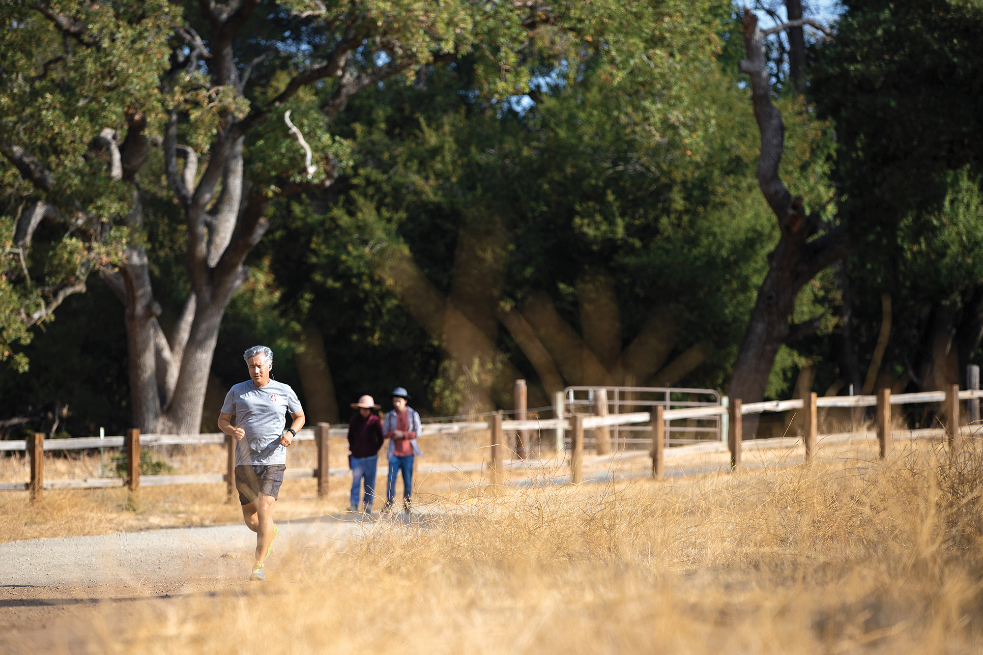 Community briefs: Free county park day, live music on first-Thursdays and National Night Out | News