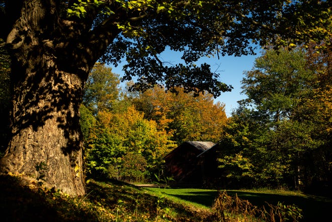 Six must-visit hiking trails for a beautiful day in Holland