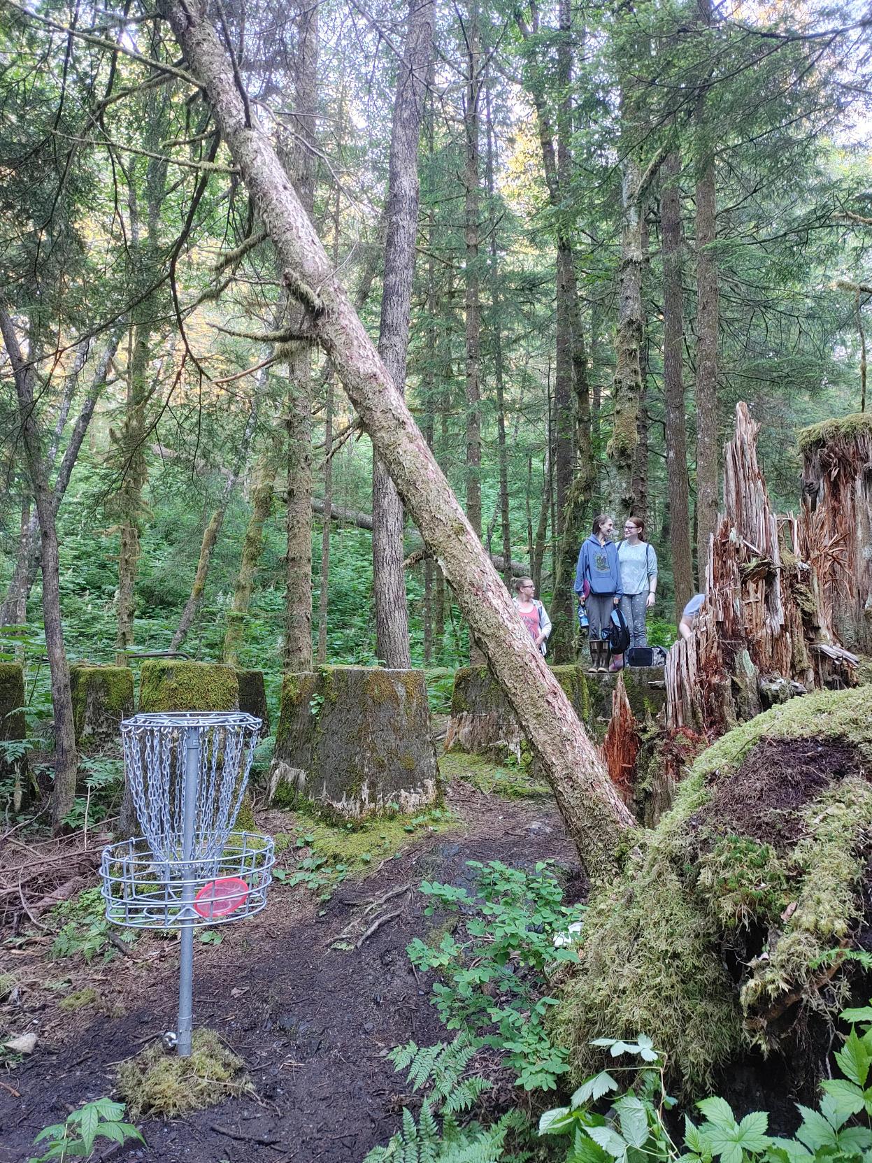 Juneau Disc Golf makes inroads. Juneau’s first Master’s Faire. Juneau Public Library update. Juneau Audubon Society’s weekly birdwatch.