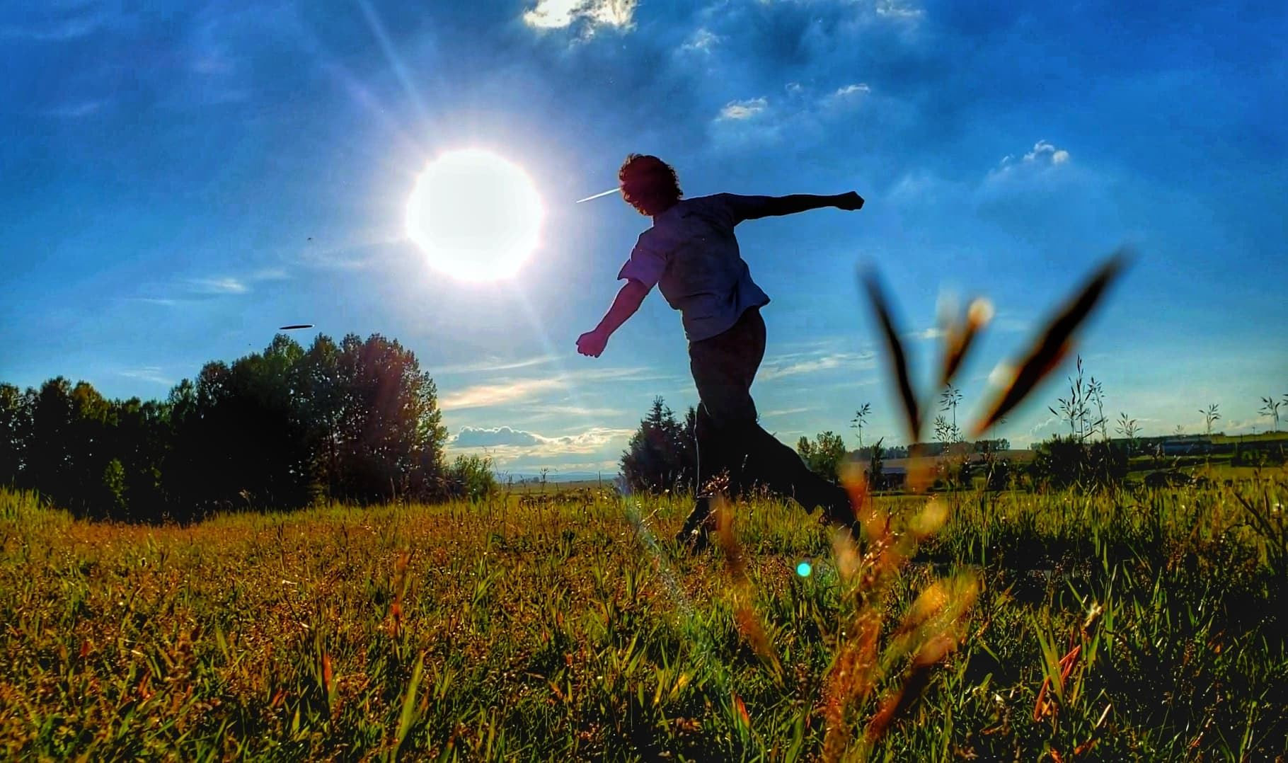 Popular northwest Calgary disc golf park is set for reopening