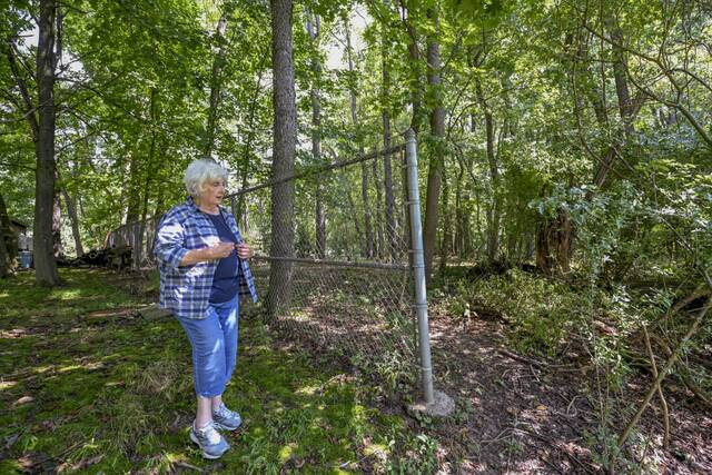 Plan for disc golf course in neighborhood park alarms New Kensington residents