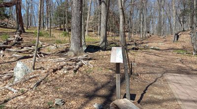 Enthusiasts Take a Flyer on a Different Type of Golf