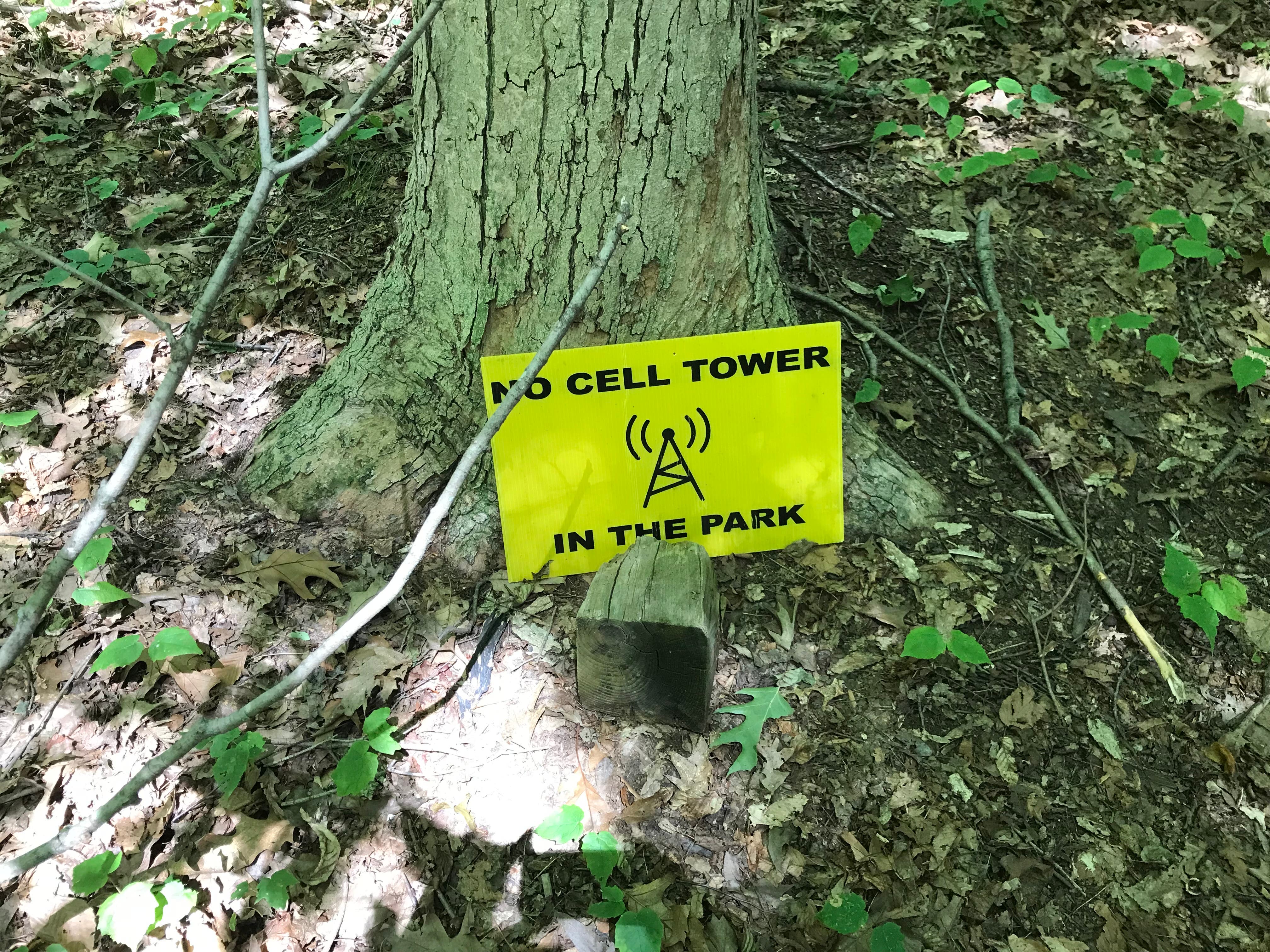 The Cell Tower And The Fight For Mount Kisco’s Leonard Park