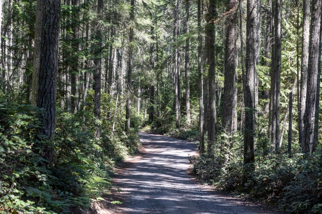 Poulsbo eyes plans to acquire 184 acres of forestland, Snider Park