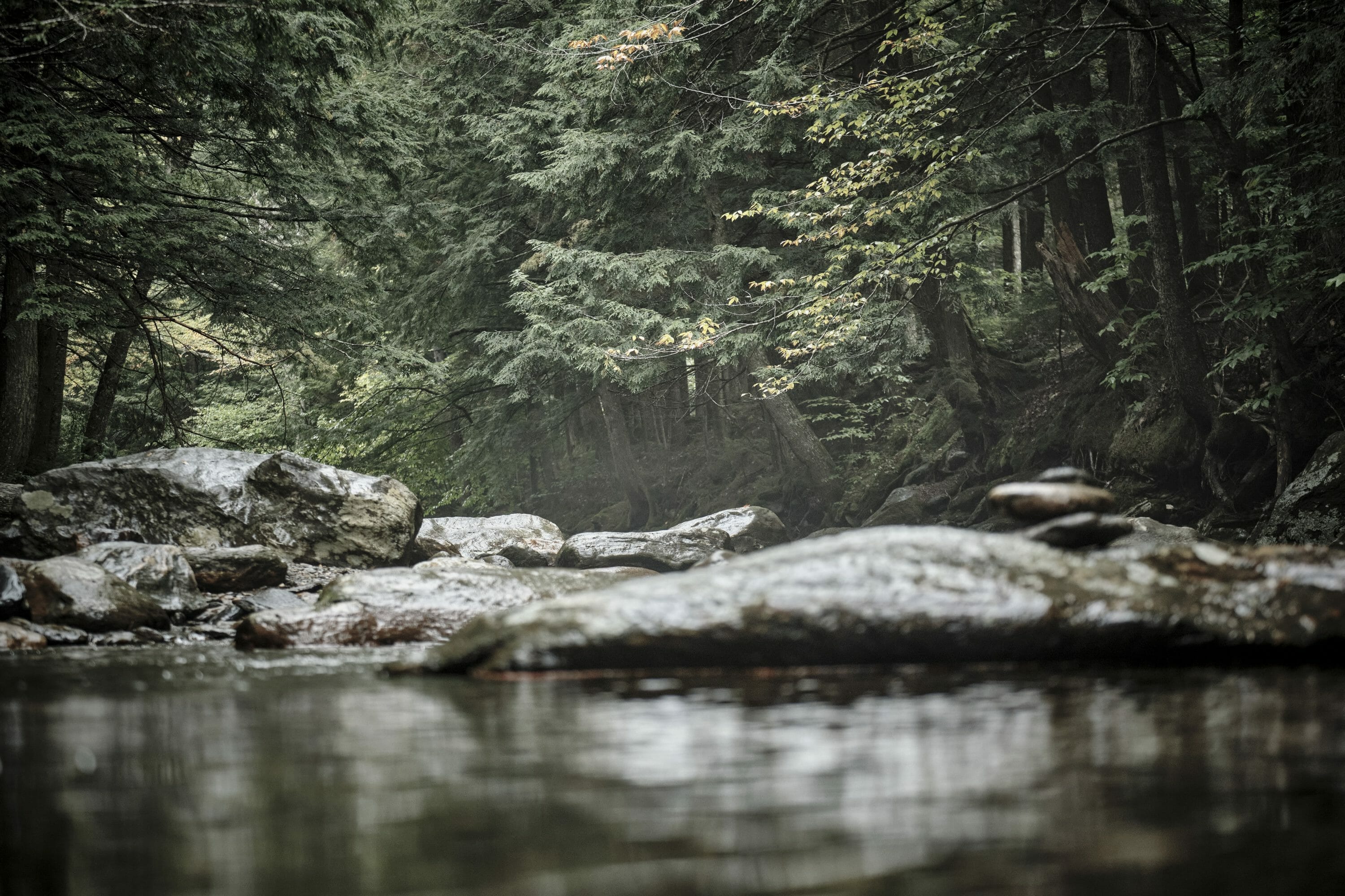How To Watch The 2022 Discraft’s Green Mountain Championship