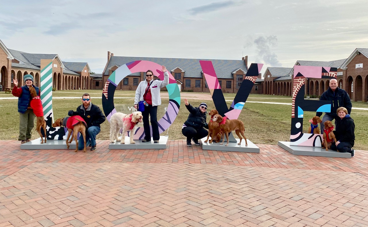 Popular Sites and Sights Around South County