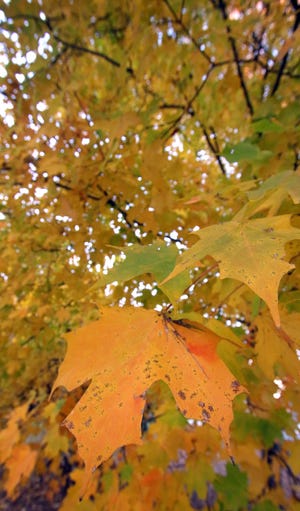 Places to hike in Gaston County this fall