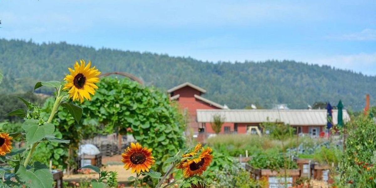 Raise a toast to Anderson Valley’s inaugural Harvest Festival in Mendocino.