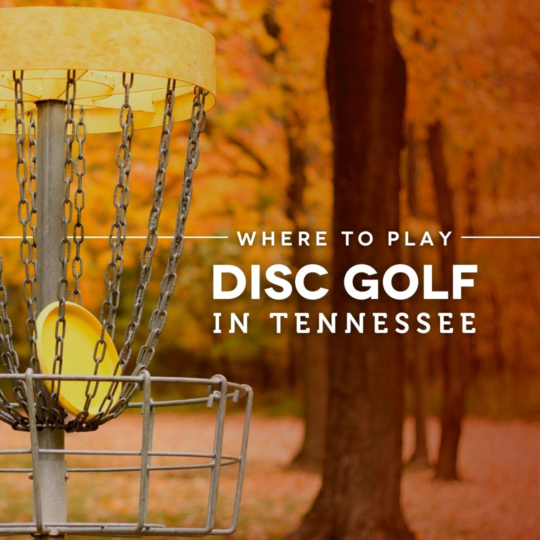 Seven Disc Golf Courses to Visit in the Parks — Tennessee State Parks