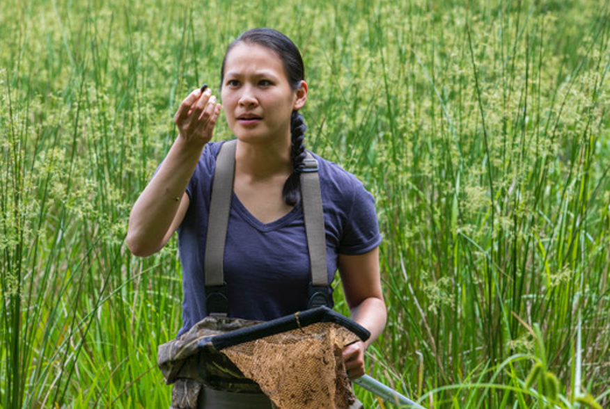 Jessica Hua specializes in aquatic ecotoxicology – eCALS