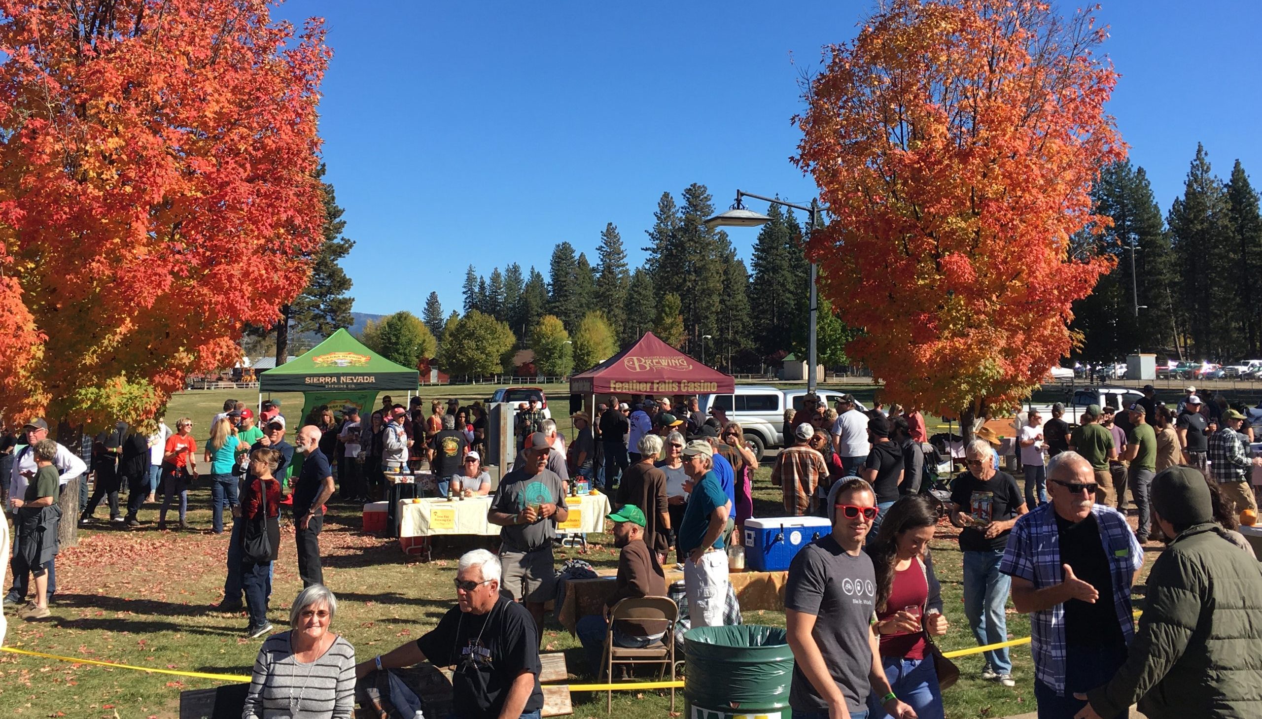 Mountain Harvest Beer Festival on Oct. 15 features local breweries