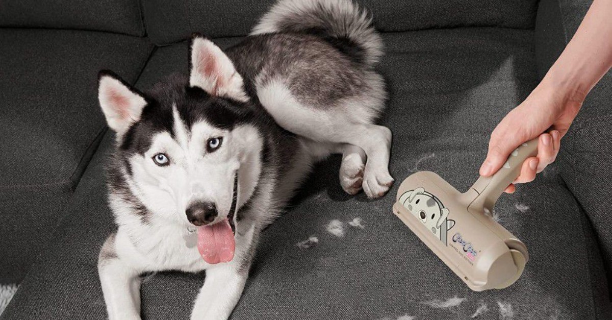 Holy Grail Products Everyone Should Own