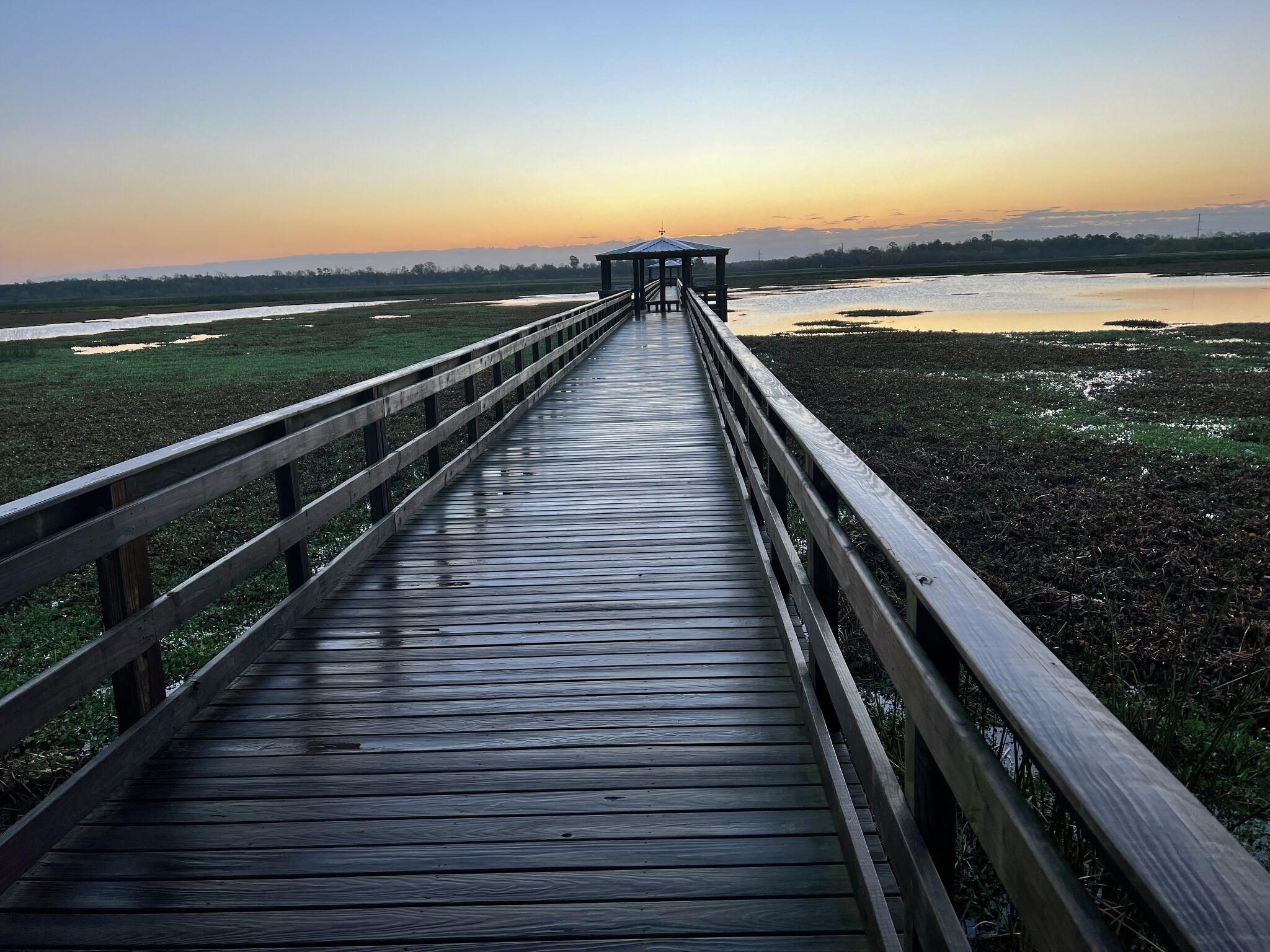 It’s time to ‘fall’ in love with Tyrrell Park 