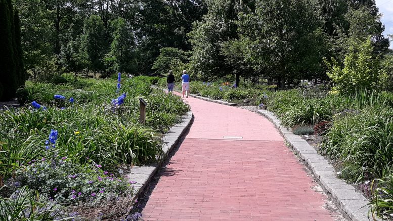 BG Parks and Rec emerges from COVID fog, with 2022 programs seeing return to normal numbers – BG Independent News