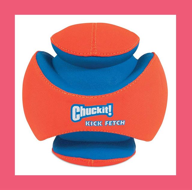 best outdoor dog toys 1646417509