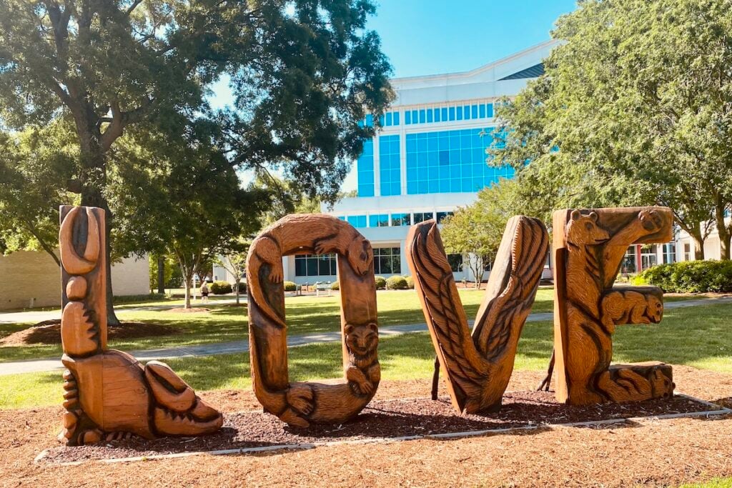 13 Amazing Experiences In Chesapeake, Virginia For The Outdoor Enthusiast