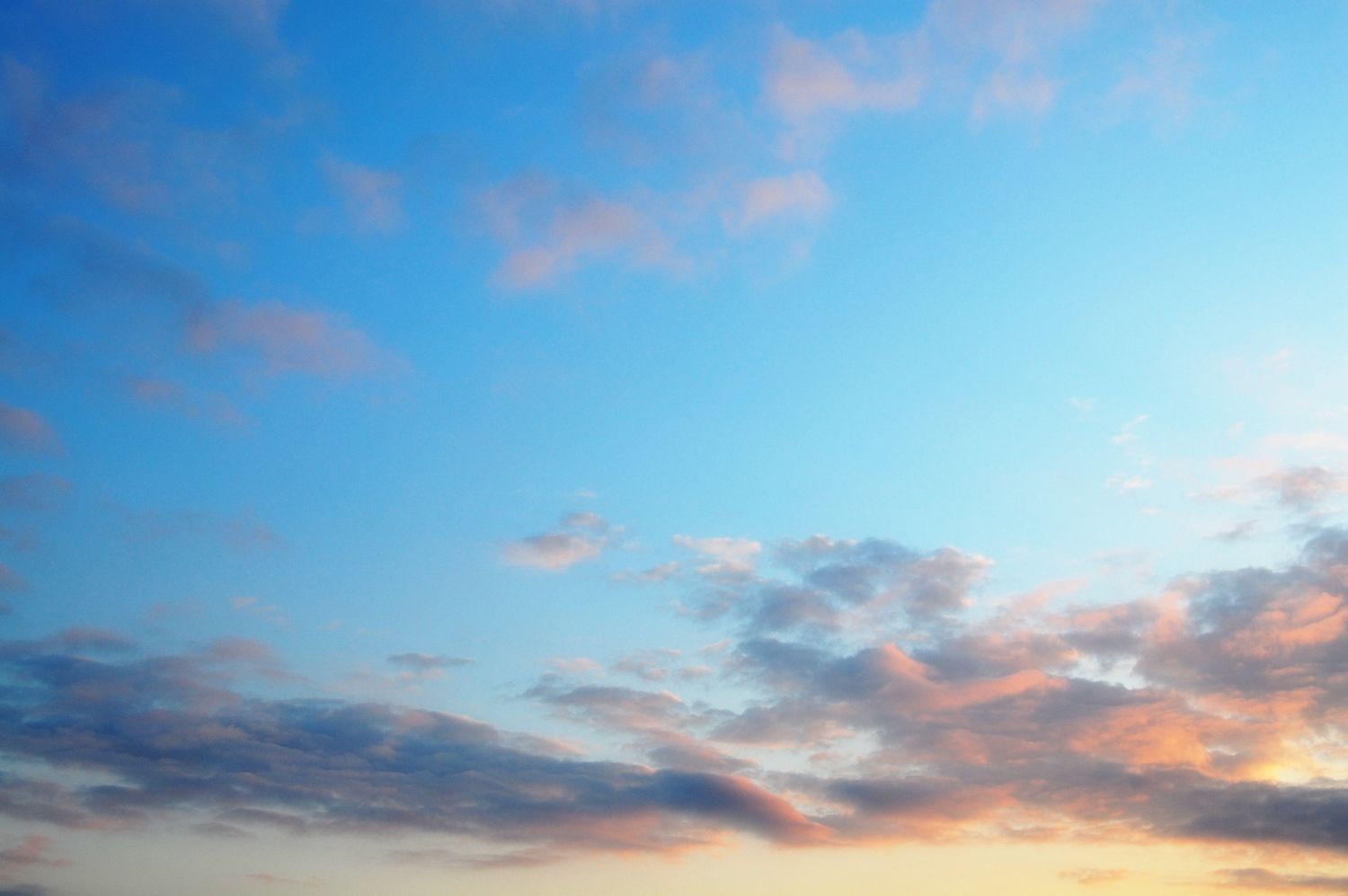 15 Free Things to Do in Eldersburg, MD