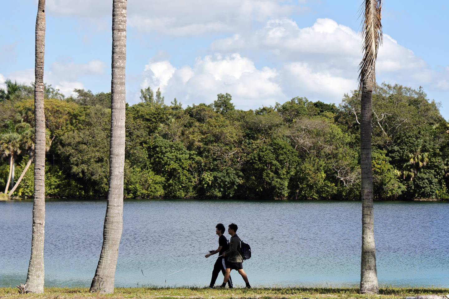 Will courts be built on a trash heap?