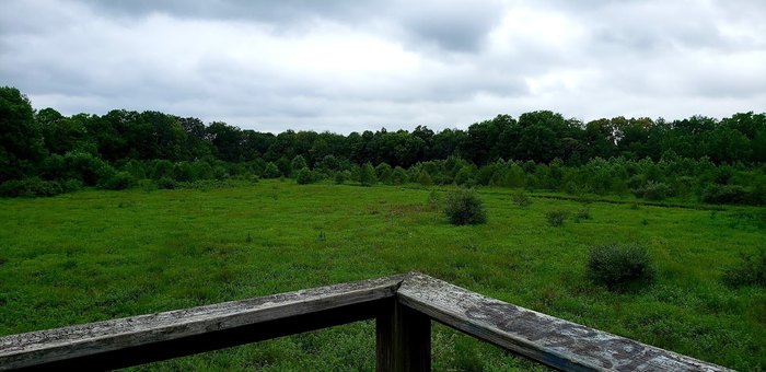 Visit The Beautifully Blue France Park Waterfall In Indiana