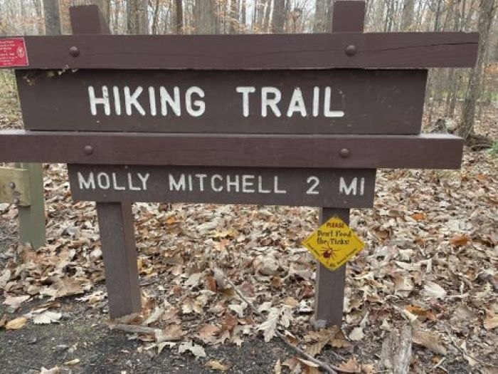 Take An Easy Loop Trail In Virginia For Some Pretty Scenery