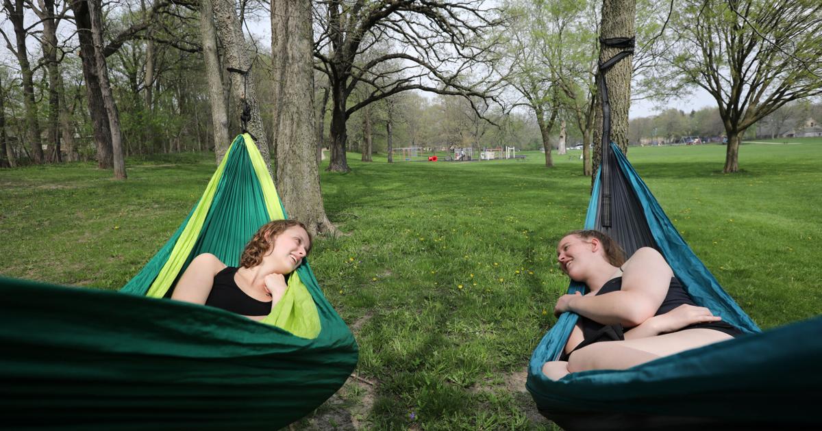 627ed0085bc99.preview