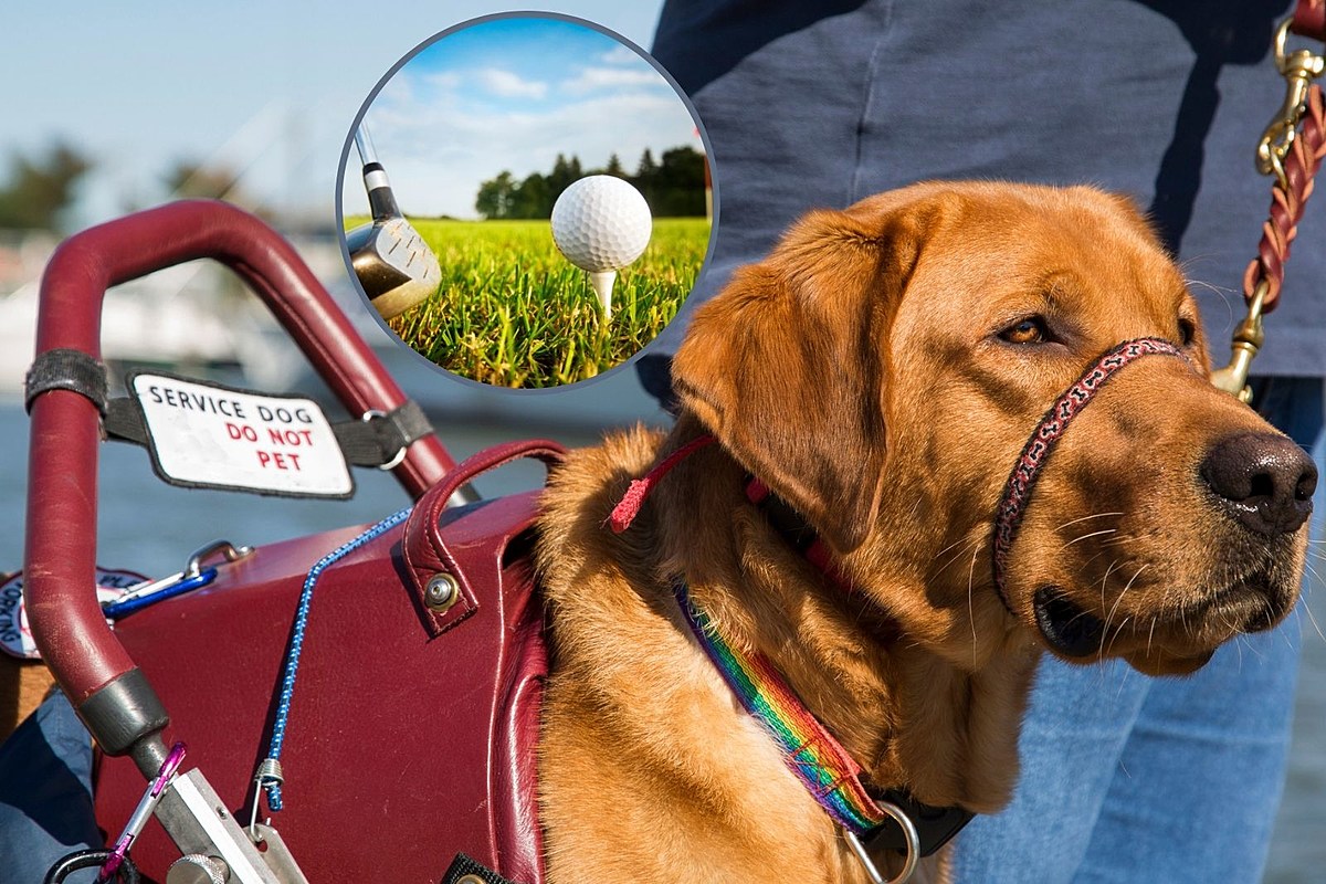 attachment Untitled design 501