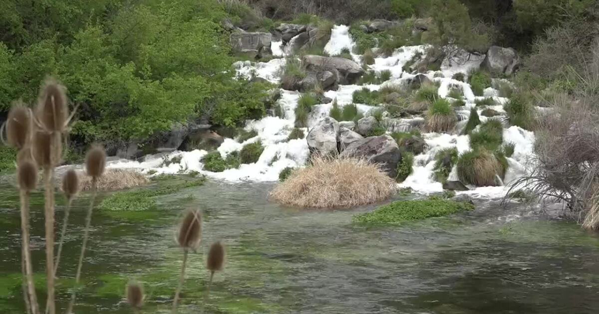 poster 20c7c3d602ad45b6947610abd9399aeb