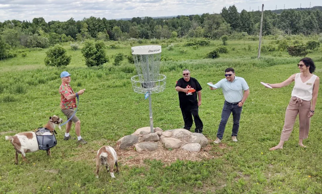 10678525 PH Z DiscGolfHauteGoat1