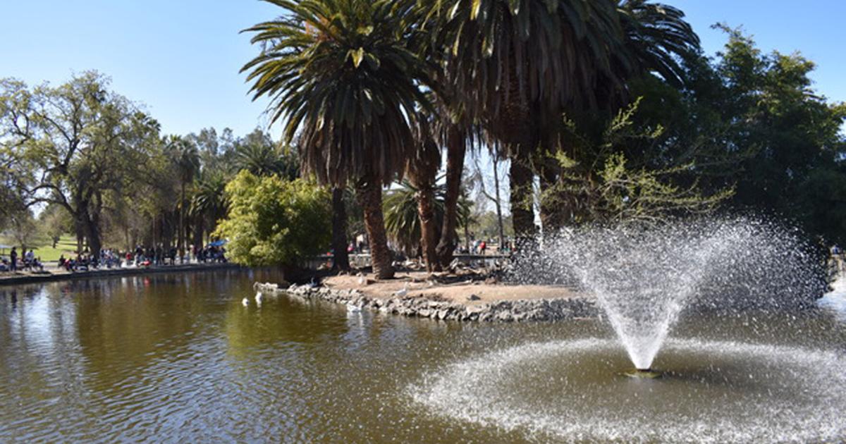 62e40970a98ad.preview