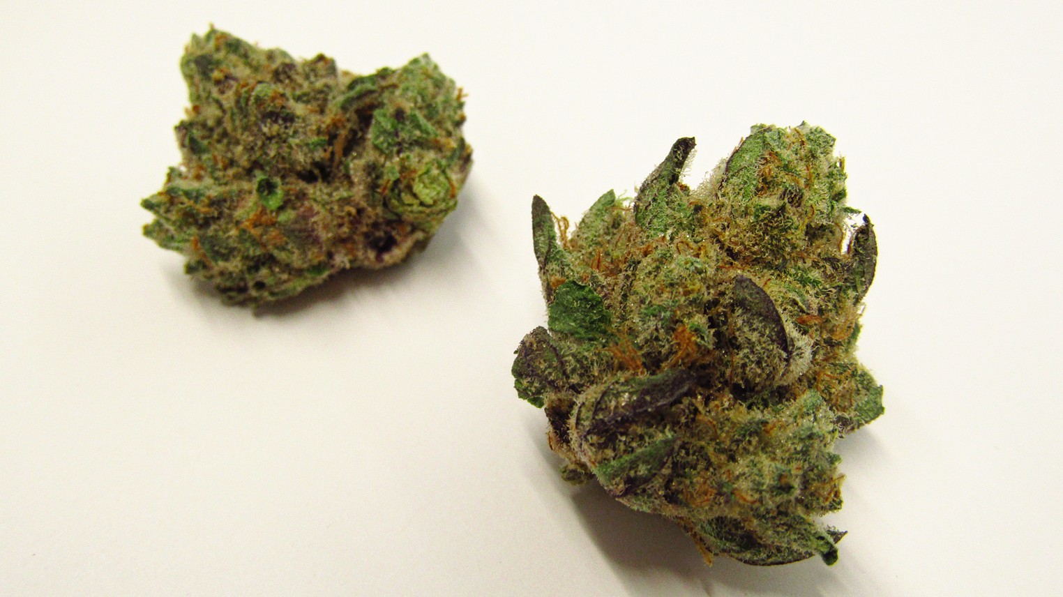 0a4a13c7 8e33 433f a78a 36f09f3ba572