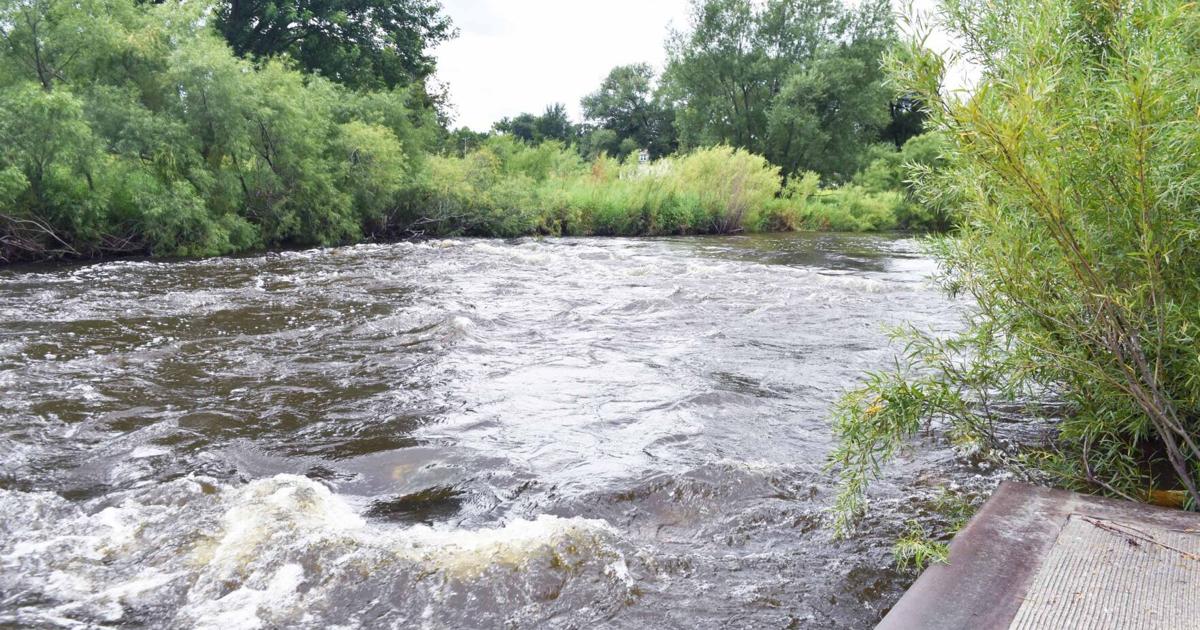 62f8d9f85f17b.preview