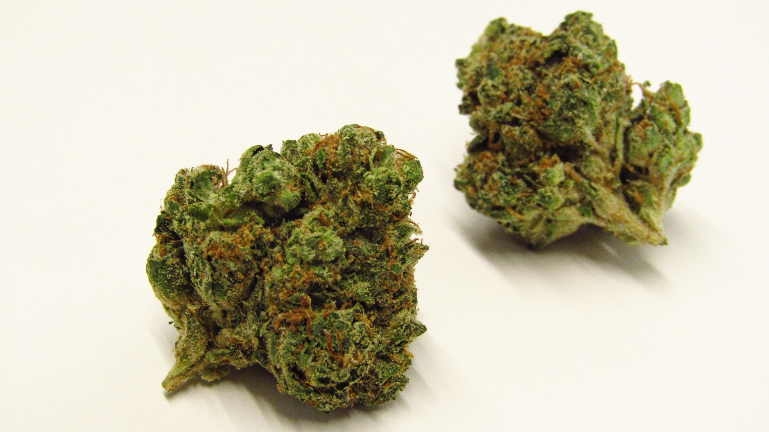 d1b20db9 56a8 49a9 a39c 5789c55a5511